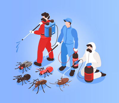 Дезинсекция от тараканов